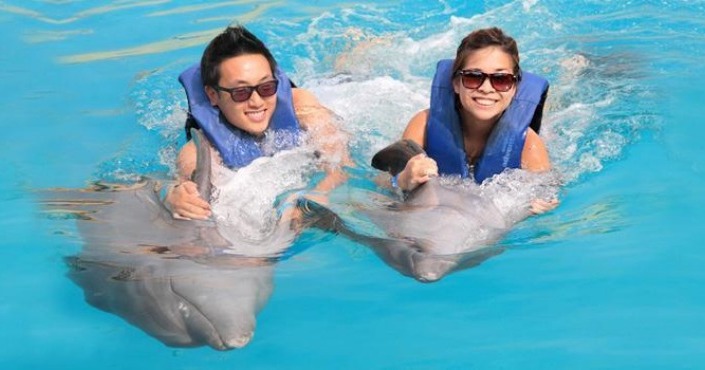 Dolphin Encounter - Costa Maya